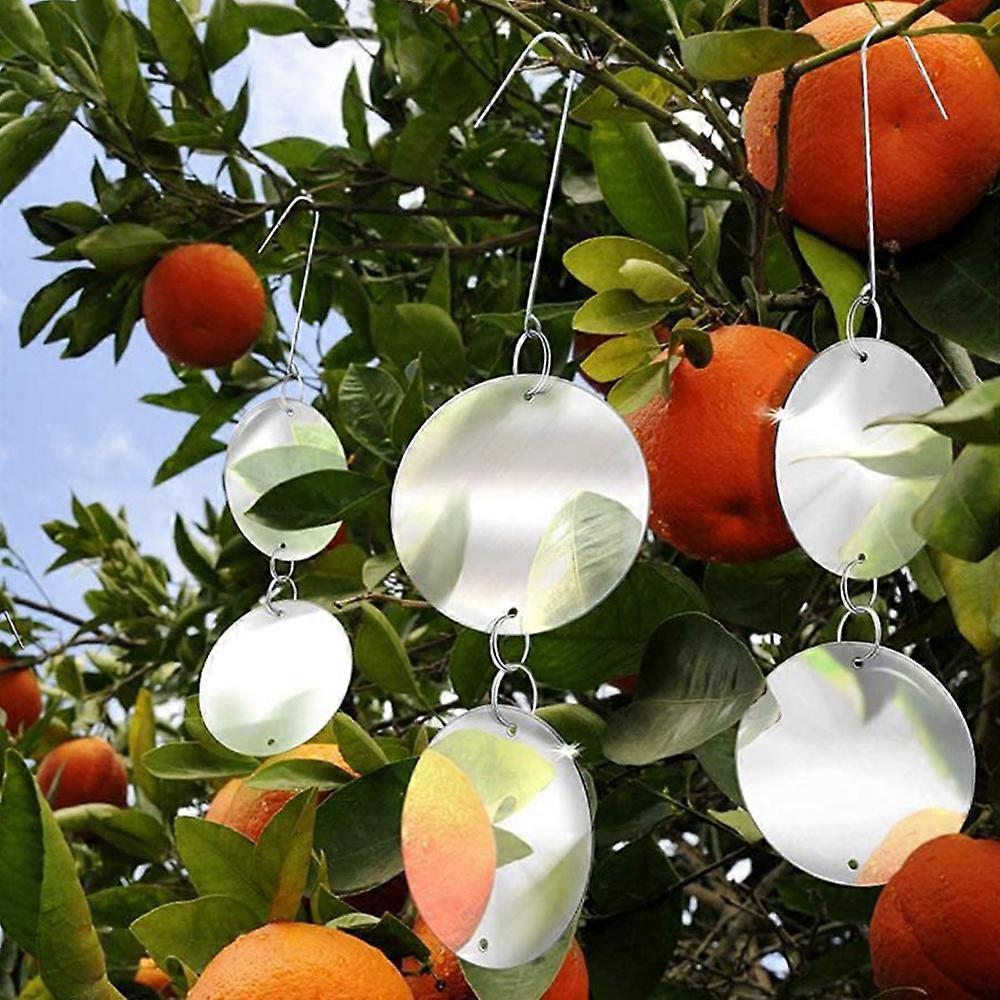 Premium Bird Deterrent Discs Set Reflective Hanging Device To Keep Birds Away Like Woodpeckers