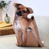 Cat & Dog Plush Toy - Corgi Chihuahua Cushion & Rag Doll