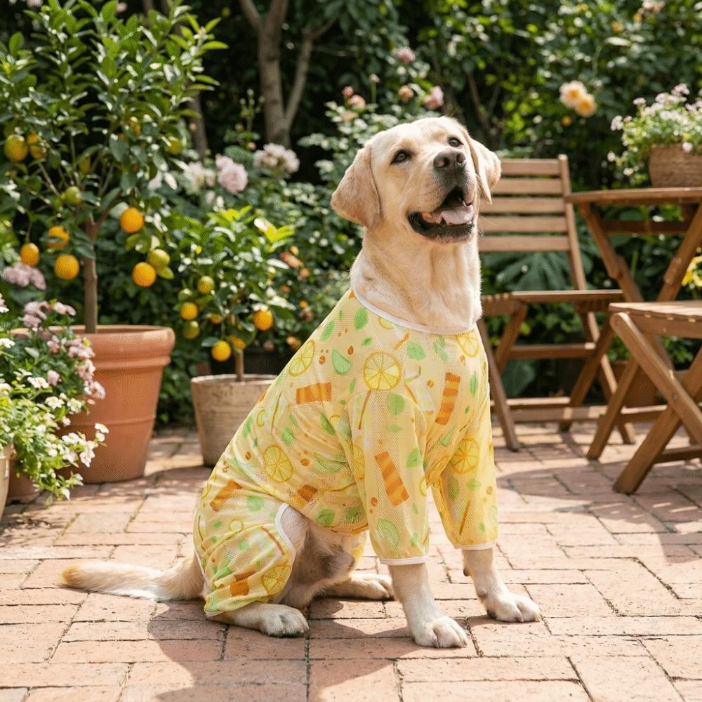 Ultra-thin Breathable Dog Sunscreen Clothes Sun Protection Cartoon Print Pet Four-Legged Clothes Lightweight Dog Jumpsuit