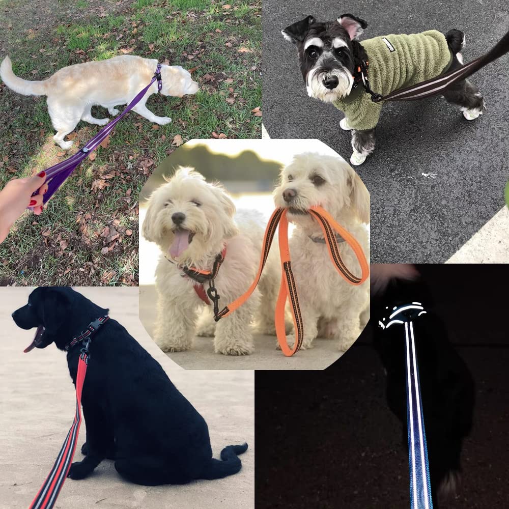 Paradise Classic Dog Official Japanese Easy To 3M Reflective TRUELOVE J&C Lead, Store, Hold, Training, Long, Material, Nylon, Breathable, Stylish,