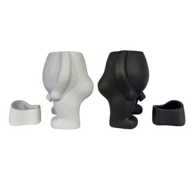 Suculentas Vaso de Flores Envasado Casa Jardim Simulação Planta Ornamento Decoração de Mesa
