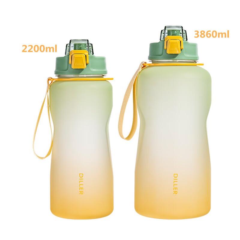 Diller Gradient Frosted Large Capacity Straw Bottle