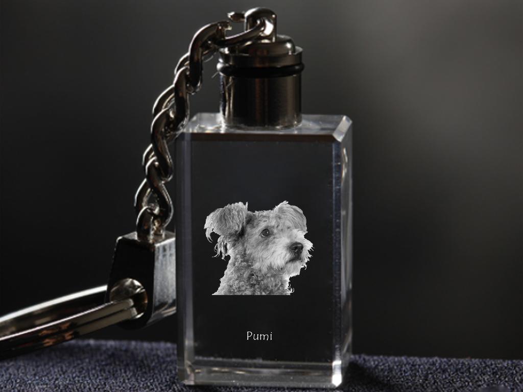 Pumi, Hungarian Pumi, Hungarian Herding Terrier - Crystal Key Ring with Dog Photo, Illuminated Key Ring, Unique Gift by Art-Dog Brand