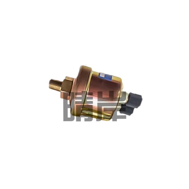 Oil Pressure Sensor for Shaanxi SX2190/SX2110 and Steyr 1192 Trucks
