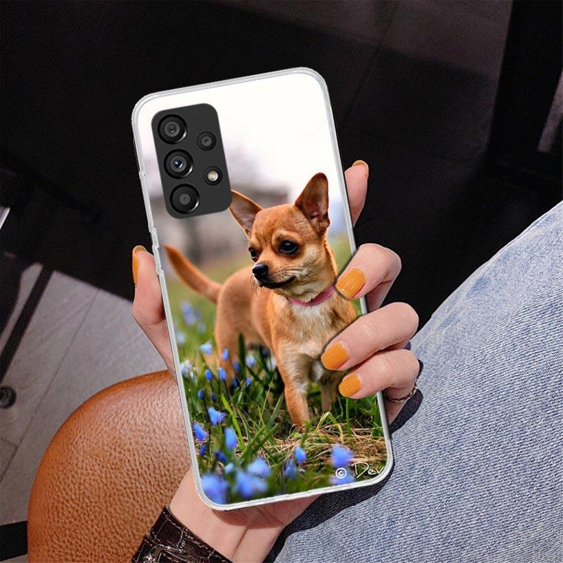 Chihuahua Puppy Teacup Dogs Phnoe Case for Samsung Galaxy A17 A37 A57 A16 A26 A36 A56 A15 A14 A13 A55 A54 A53 A35 A34 A33 A25 A2