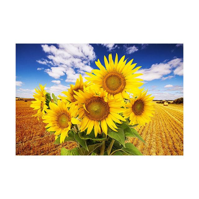 Abstract Canvas Painting Flower Oil Painting Wall Art Pictures Sunflower Posters for Living Room Cuadros Home Decor Unframed