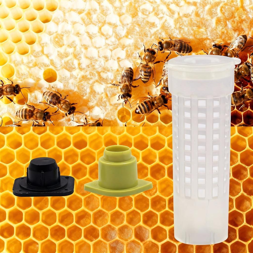 20Pcs Queen Bee Rearing Cup Larva Anti Worker Bees Bite Protective Cover Beekeeping Cell Cup Apiculture Beekeeper Supplies