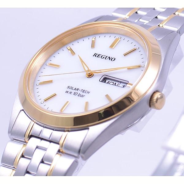 Citizen Pánské RS25-0053B ( Sledujte REGUNO Men's) Kulaté hodinky Stříbrné nerezové analogové