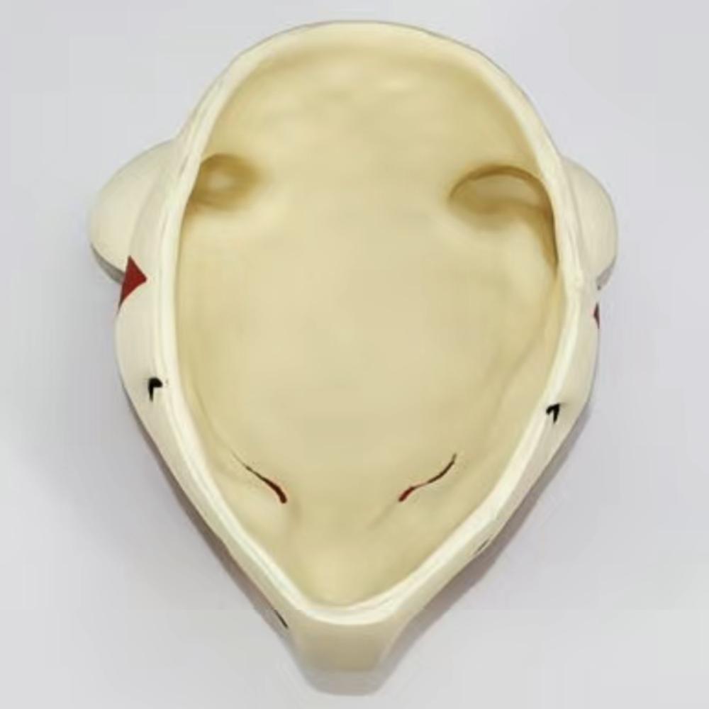 Animal Fox Mask Halloween Adult Mask Cosplay Accessory Video Game Costume