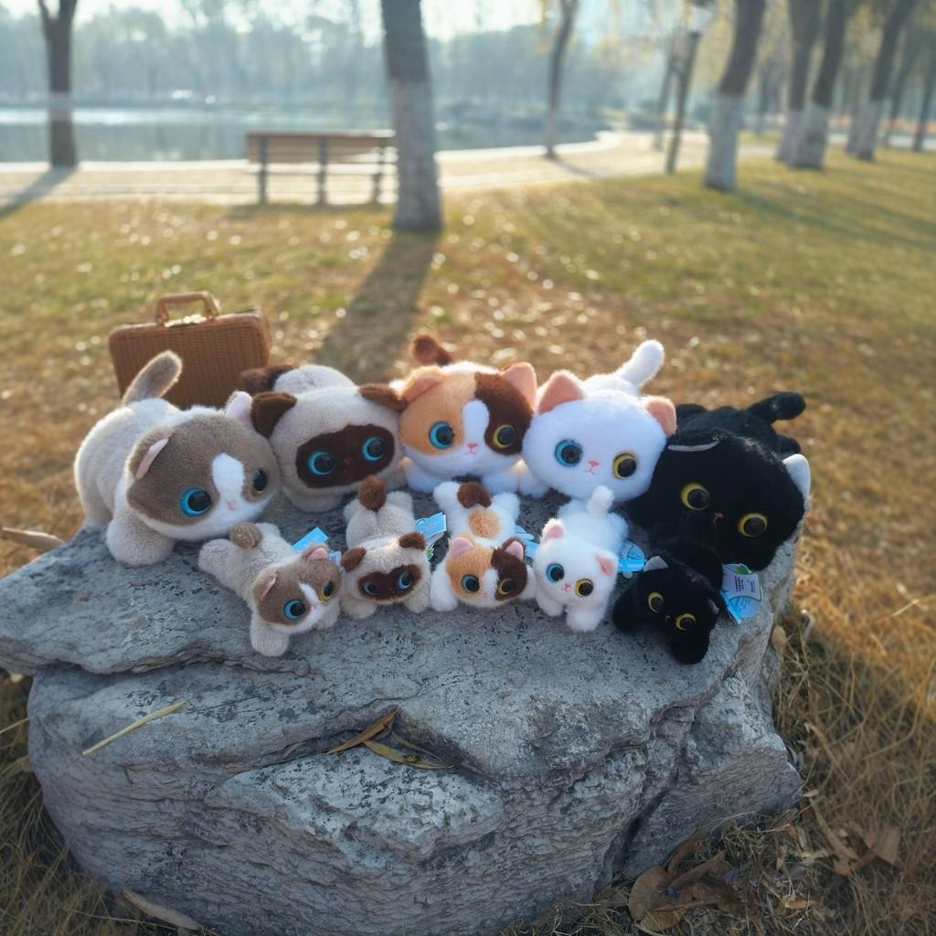 Cat Plush Toy Black White Short Fur With Large Eyes For Kids And Collectors