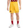Nike Casual Shorts Men's Yellow Moderate DR5080-728