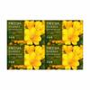 Dubore Freesia Essence Moisture Soap 100g X 4 (WB7B583)