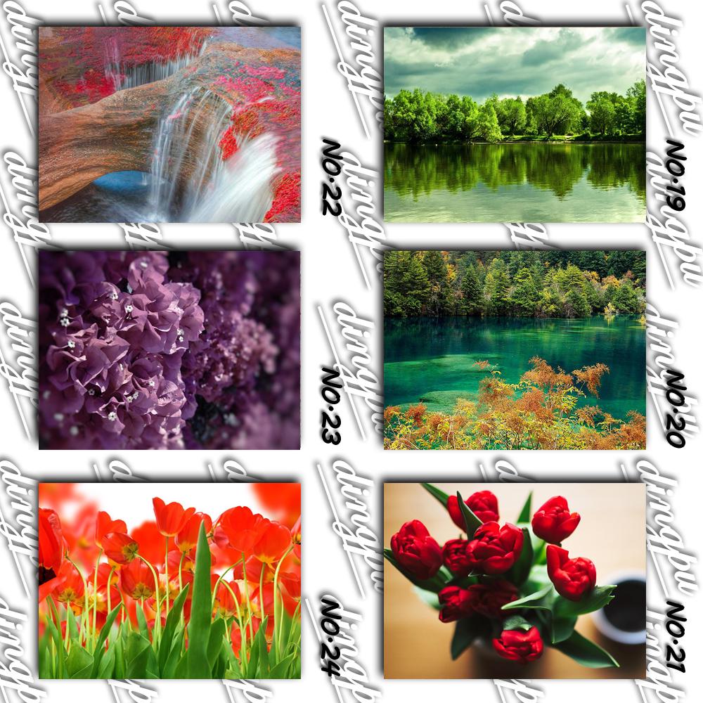 5D DIY diamant schilderij volledige ronde klaproos bloem kit diamant borduurwerk mozaïek decoraties thuis