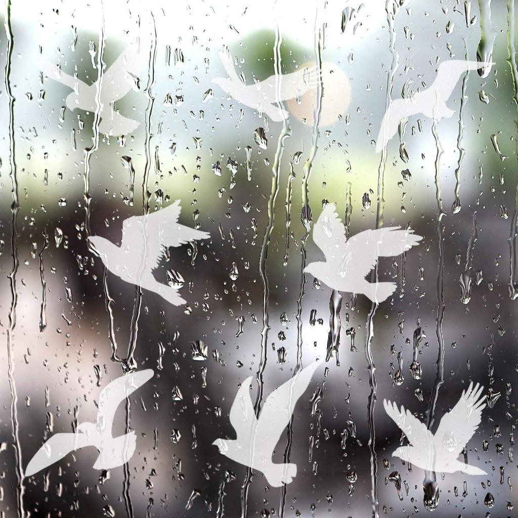 Boao 40 Pieces Large Size Anti-Collision Window Clings Bird Window Stickers Prevent Bird Strikes on Doors Windows Glass Translucent/Dusted Bird