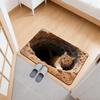 Non-slip Bathroom Carpet Water-absorbing Bedroom Door Rug Optical Illusion Doormat  Home Decor