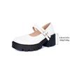 Fashion Plus Size 2025 New Platform Women's Mary Jane High Heels Round Toe Med Heel Shallow Buckle Strap Pumps Classics Daily & Office
