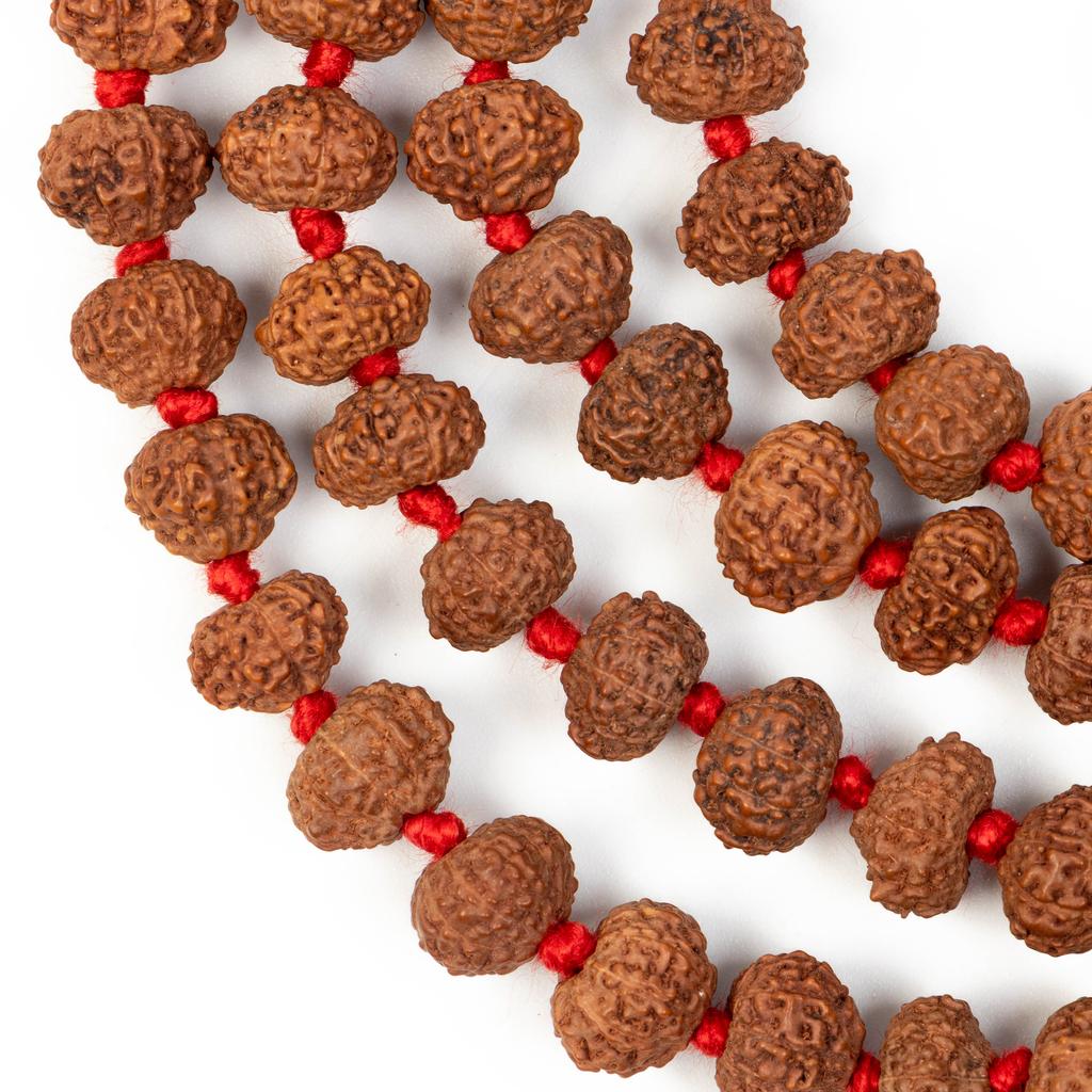 10 Mukhi Indonesian Rudraksha Mala 108+1 Beads |Spiritual Healing Necklace| Meditation Yoga Mala |Authentic Rudraksha Mala for Men & Women