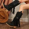 2025 Winter Women Fringes Thick Heel High Boots Suede Pointed Toe Outdoor Fashion Platform Shoes Willow Nails Pumps Women Shoes