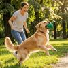Bite-Resistant Squeaker Dog Toy Cartoon Animal Shaped Toy Dog Grinding Teeth Toys  Training
