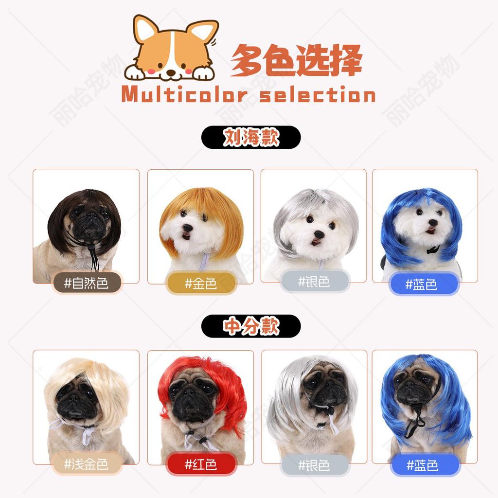 Parrucche Chic per Animali Domestici: Frange alla moda e caschetti carini per cani