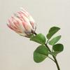 High-end Feel Moisturizing Emperor Flower Simulation Flower Home Decoration Fake Flower Ornament Photography Props