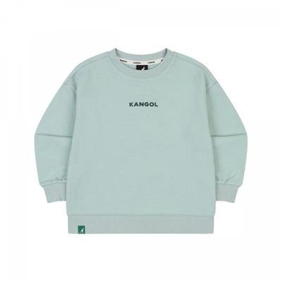 Lettering Standard Fit Sweatshirt Mint Sa 0001