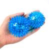Puppy Pet Interactive Vocal Toy Soft Rubber Pet Toy Ball Vocal Flashing Spiky Ball Pet Toy Product