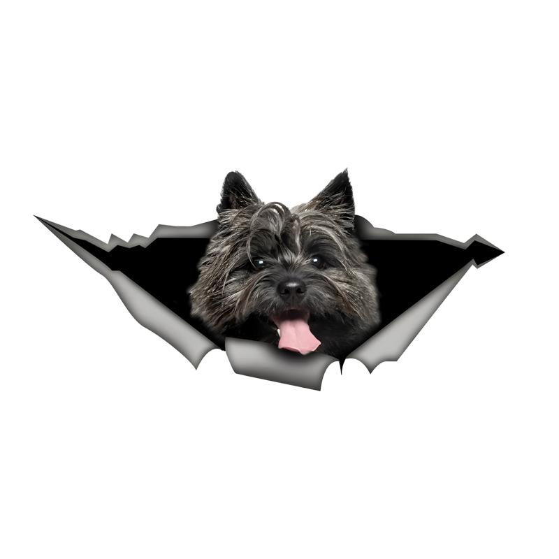 Car Stickers for Crow Hidden In Holes, Waterproof Irregularly Shaped Car Decoration Decals