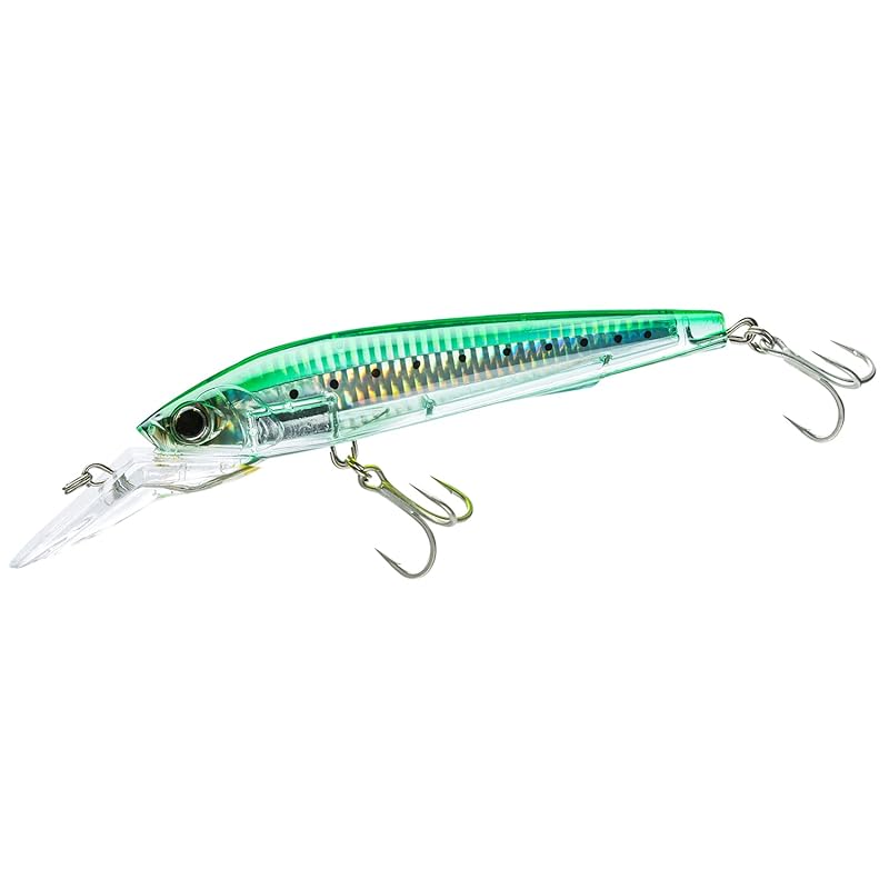 

DUEL YO-ZURI lure trolling 3D magnum S 180mm CPNI Weight: 100g R1164-CPNI-Sardine