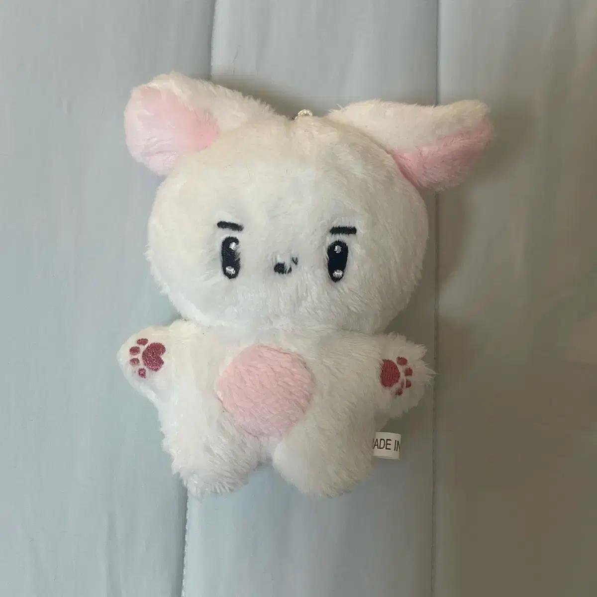 

Theboyz Younghoon Pankong Is A Doll