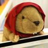 Groundhog Stuffed Plush Toys Plush Filled Animal Adorable Red Scarf Groundhog Sleeping Companion Dolls Gifts
