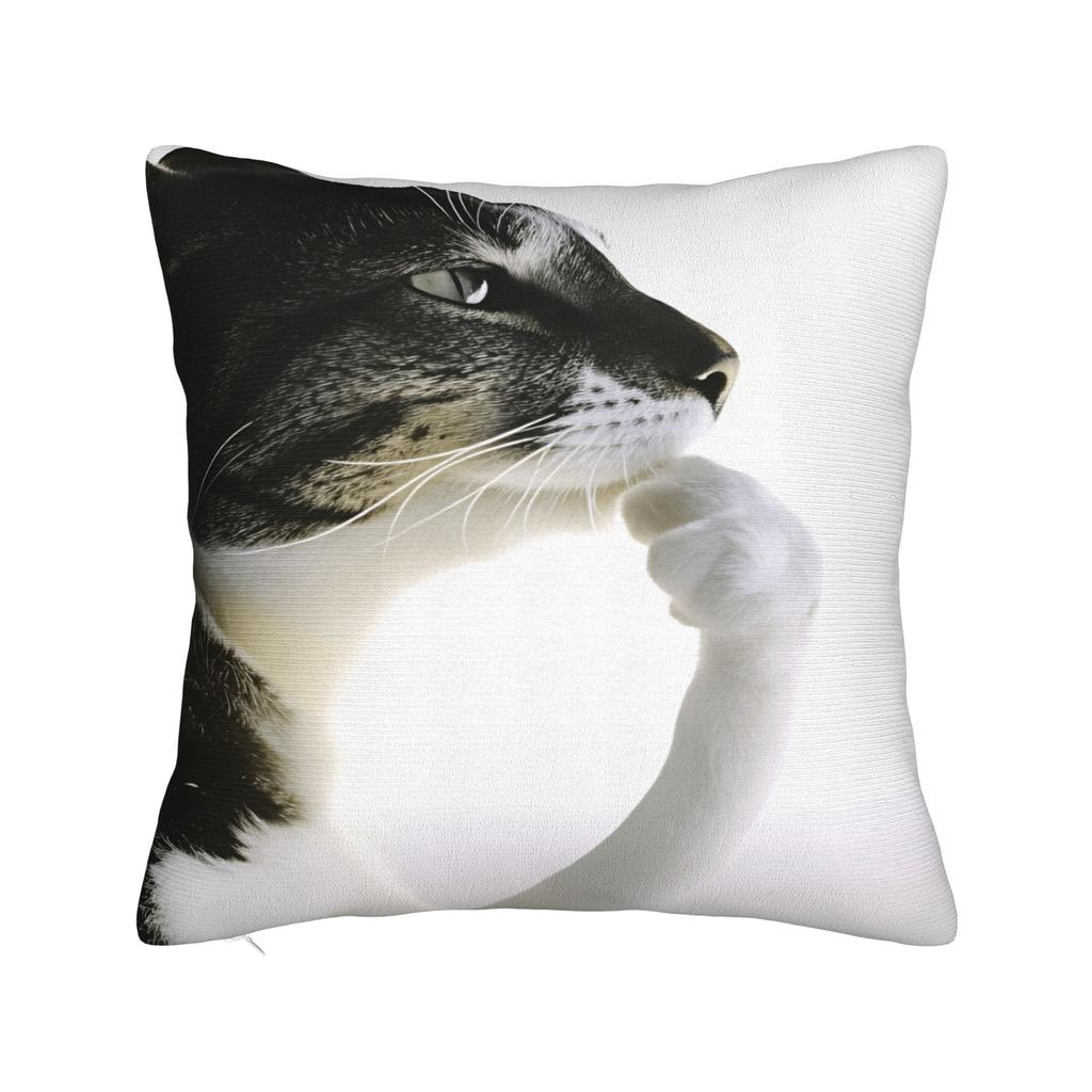 Pet Cat Funny memes Pillow Case Retro Trendy Pillow Cover Comfy Pillowcases For Sofa Couch Bed Living Room