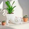 Cartoon Cute Cat Tail Flower Pot Creative Succulent Plant Resin Birthday Gift Desktop Decoration