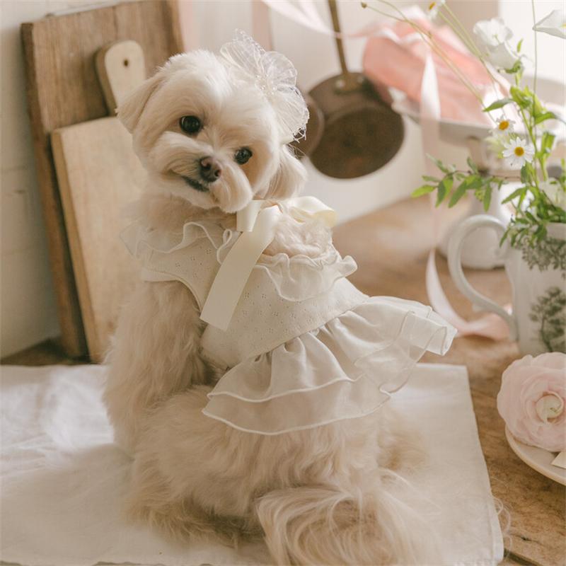 Organza Dog Tutu Dress Lace Ruffle Princess Dog Dress for Small Dogs Girl Shih Tzu Yorkie Clothes