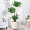 Large Imitation Cement Plastic Flower Pot for Artificial Trees & Decorations, Egg-Shaped Floor Planter