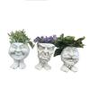 Muggly's The Face Statue Planter Funny Flower Pot Sculpture Funny Expression Plant Pots Planters Succulent Pot Home Ornaments