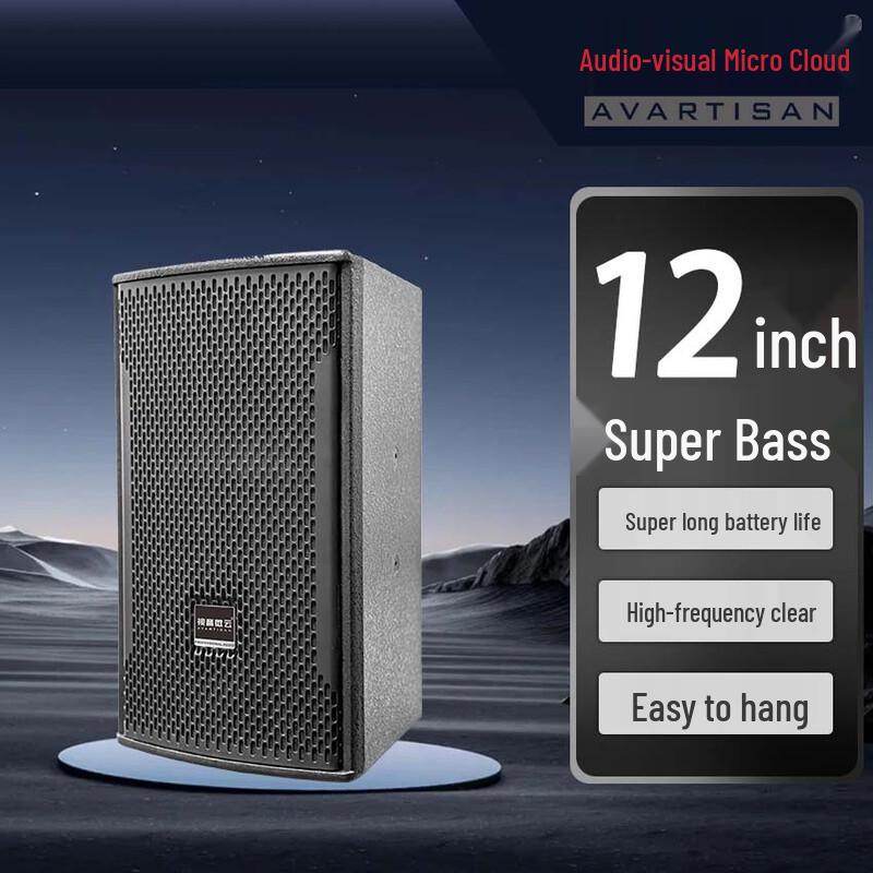 Shiyin Weiyun 12-inch Luxury Conference Speaker