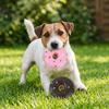 2 Stück quietschendes Latex-Hunde-Donut-Spielzeug Premium Latex-Hunde-Kauspielzeug Donut Innen- und Außenbereich