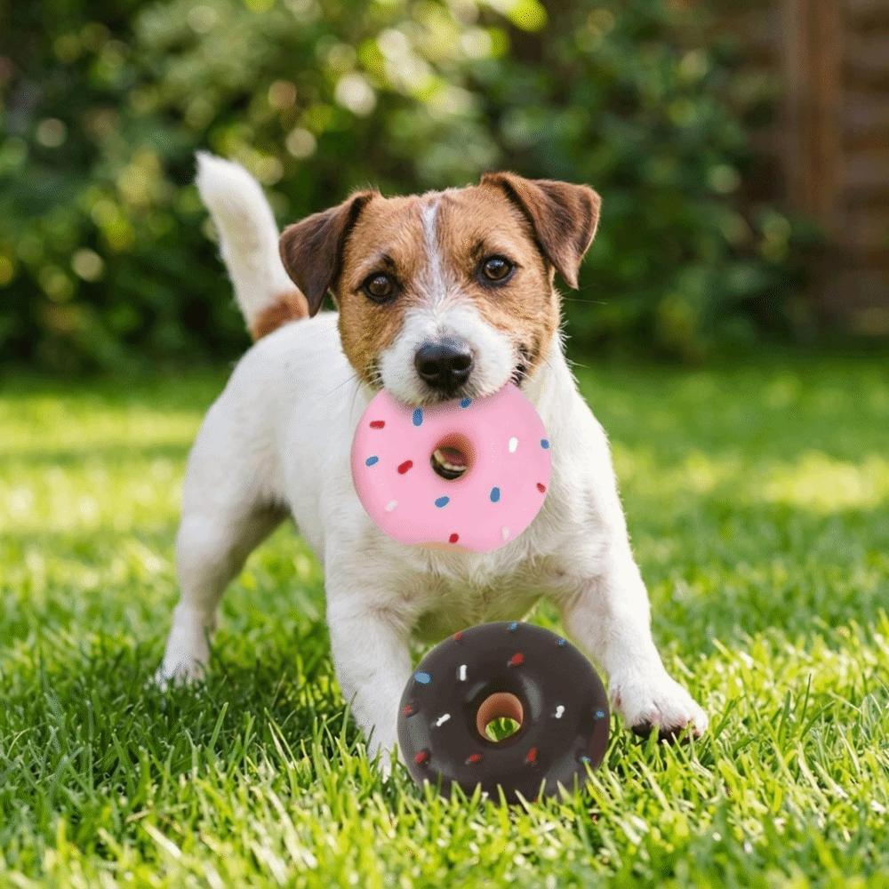 2 Pezzi Giocattolo Donut in Lattice Premium per Cani Giocattolo Donut Squeaky da Masticare per Cani Gioco Interattivo
