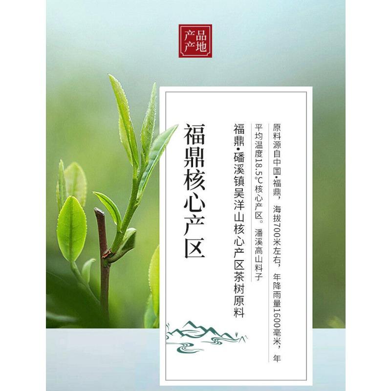 350 g di tè bianco Fuding Panxi Gongmei Shoumei Gaoshan Sunshine Vecchia torta di tè bianco