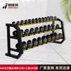 Jinrui Lion Fixed Dumbbell Set