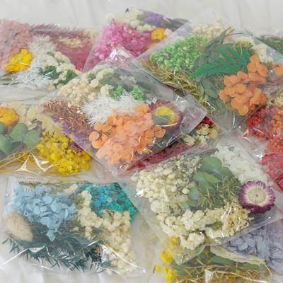 Piante Artificiali Fiori Secchi Naturali Veri Stampo per Candele Resina Epossidica Fai da Te Decorazione Ornamenti per la Casa Artigianato