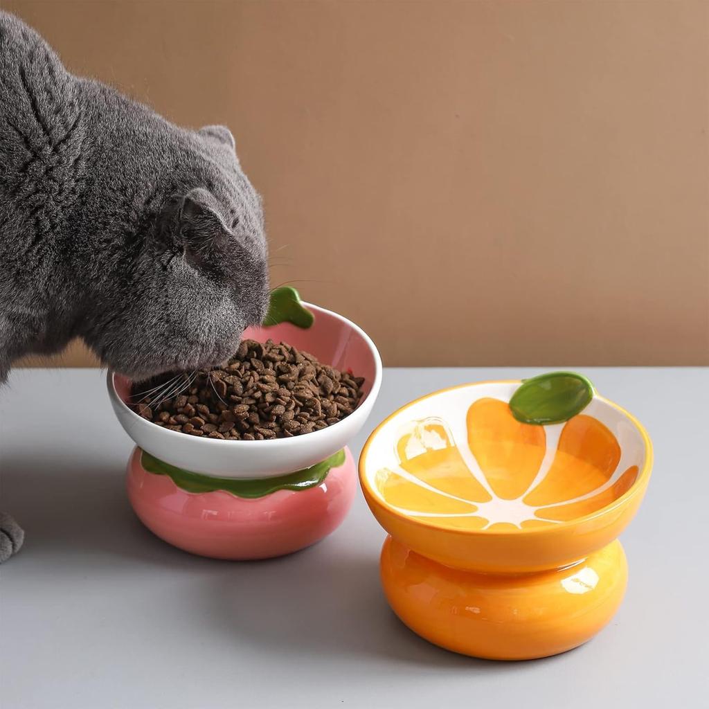 Yeexoxow Cuenco Elevado De Cerámica Para Gatos Cuenco Elevado Para Comida De Gatos Para Gatos De Interior Antivómitos Y