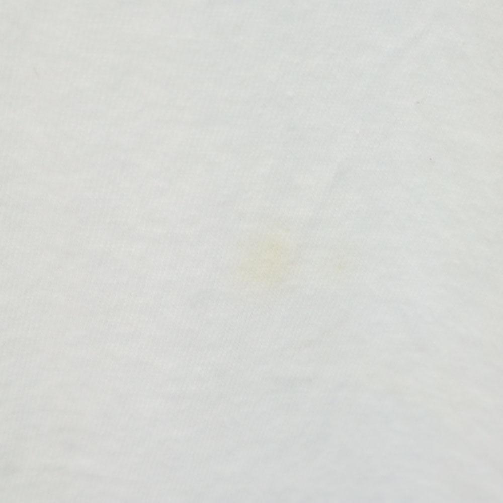 FRUIT OF THE LOOM 90s Made In USA Print Short Sleeve Single Stitch T-shirt Men's Used