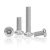 Vite Antifurto Rotonda Torx con Testa Esagonale Interna a Fiore in Acciaio Inossidabile 304 (M2M4M5M6M8)