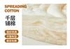 Xinjiang Cotton Quilt for Winter Warmth