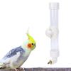 Automatic Pet Bird Water Feeder 260ml No Mess Bird Water Dispenser for Small Medium Large Birds