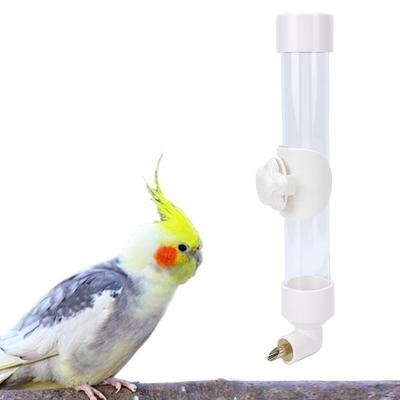 Pássaros – Louça para aves