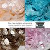 Natural Seashell Nail Ornaments: Pearlescent Mica Flakes & Handmade Mother-of-Pearl DIY Art Accessories