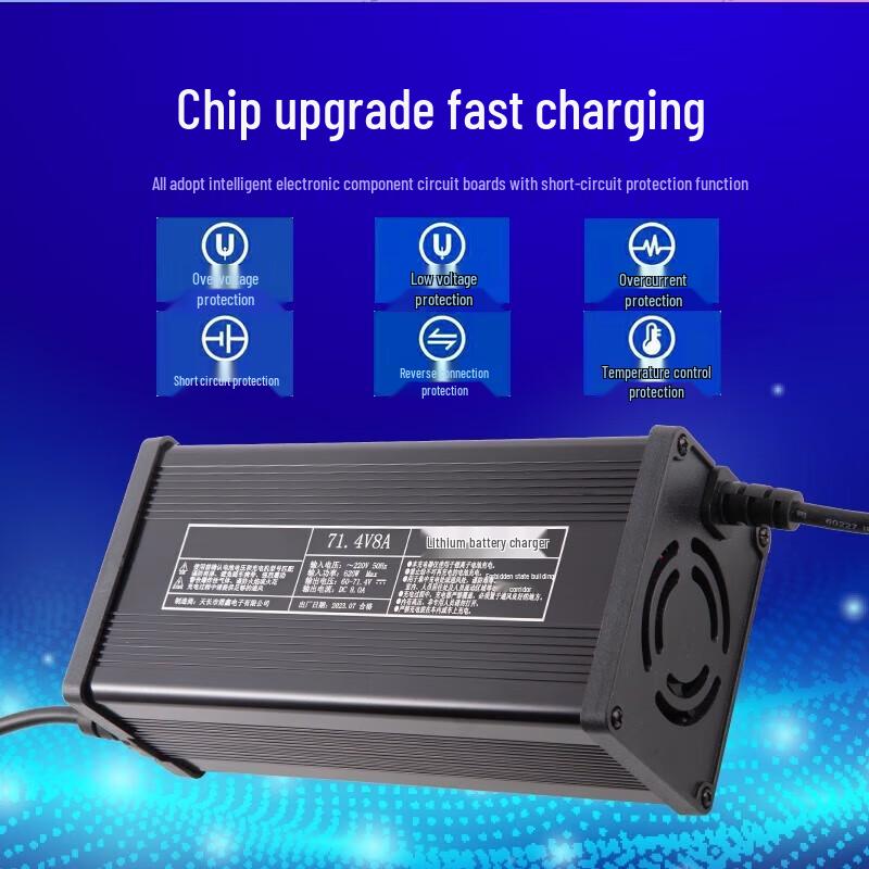 Gangwo 60V 5A Smart Fast Charger for Niu Electric Scooters